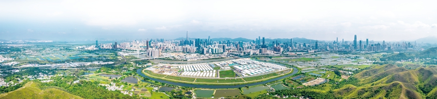 中建钢构：争当区域钢结构行业高质量发展领跑者