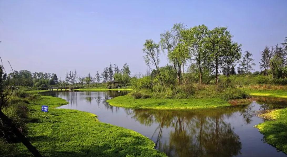 生态环境修复责任在实践中的问题,生态修复是美丽中国的重要途径