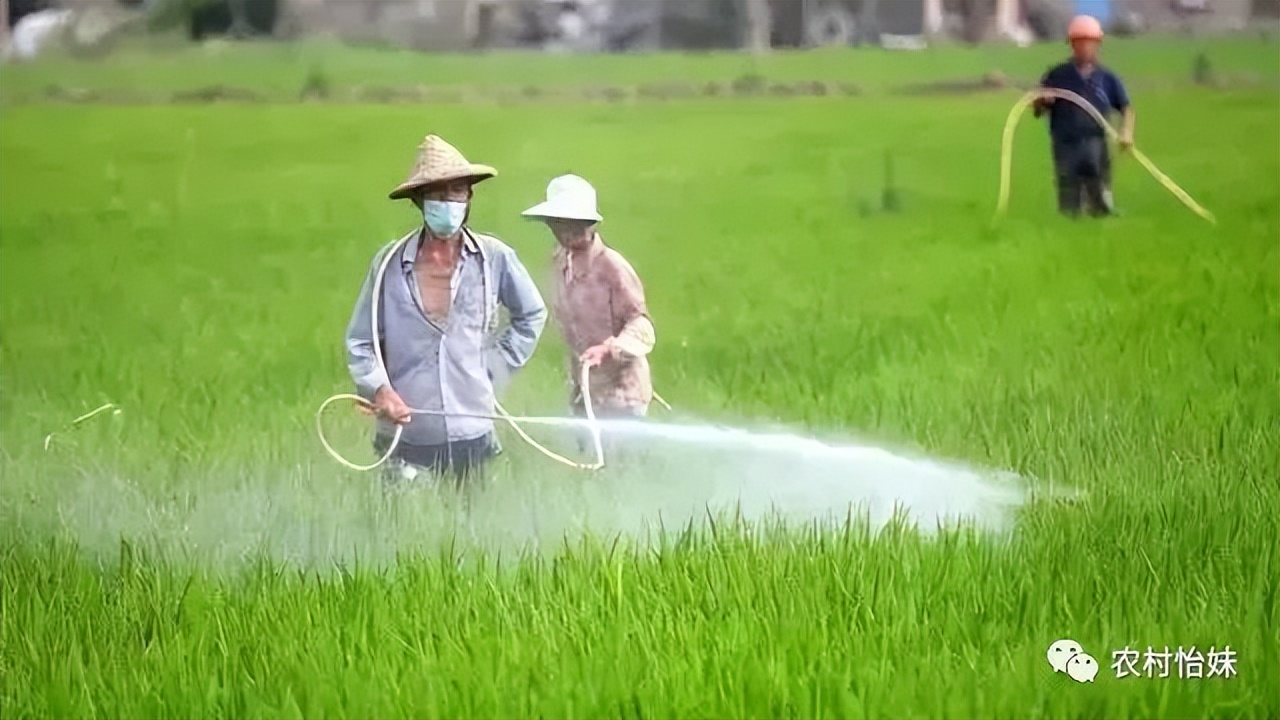 2023年农村什么行业赚钱有前景,农村闷声发大财的创业项目
