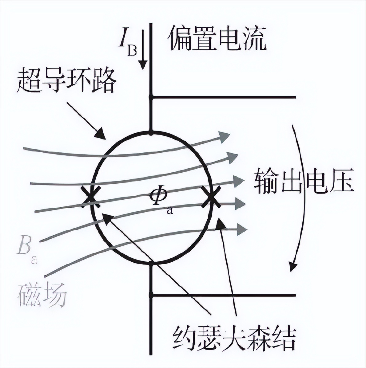 新型原子磁强计：脑磁测量技术的创新与突破丨贝研报02