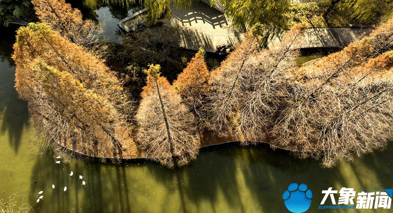 行走河南读懂中国畅游洛阳,行走河南读懂中国洛阳考古