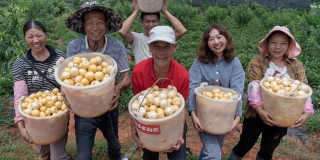 从京东、阿里到满帮、安能、德邦……巨头的新“角斗场”：产业带
