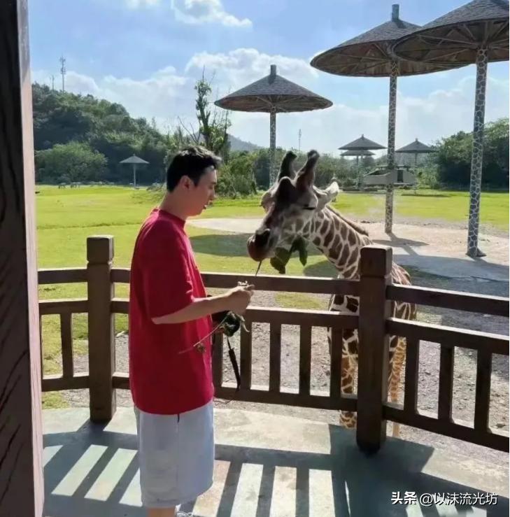 王思聪与慎婕疑似分手,王思聪慎婕宁波动物园