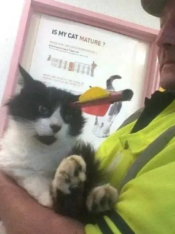 直女到底有多难撩,怎么撩直女到底有多难