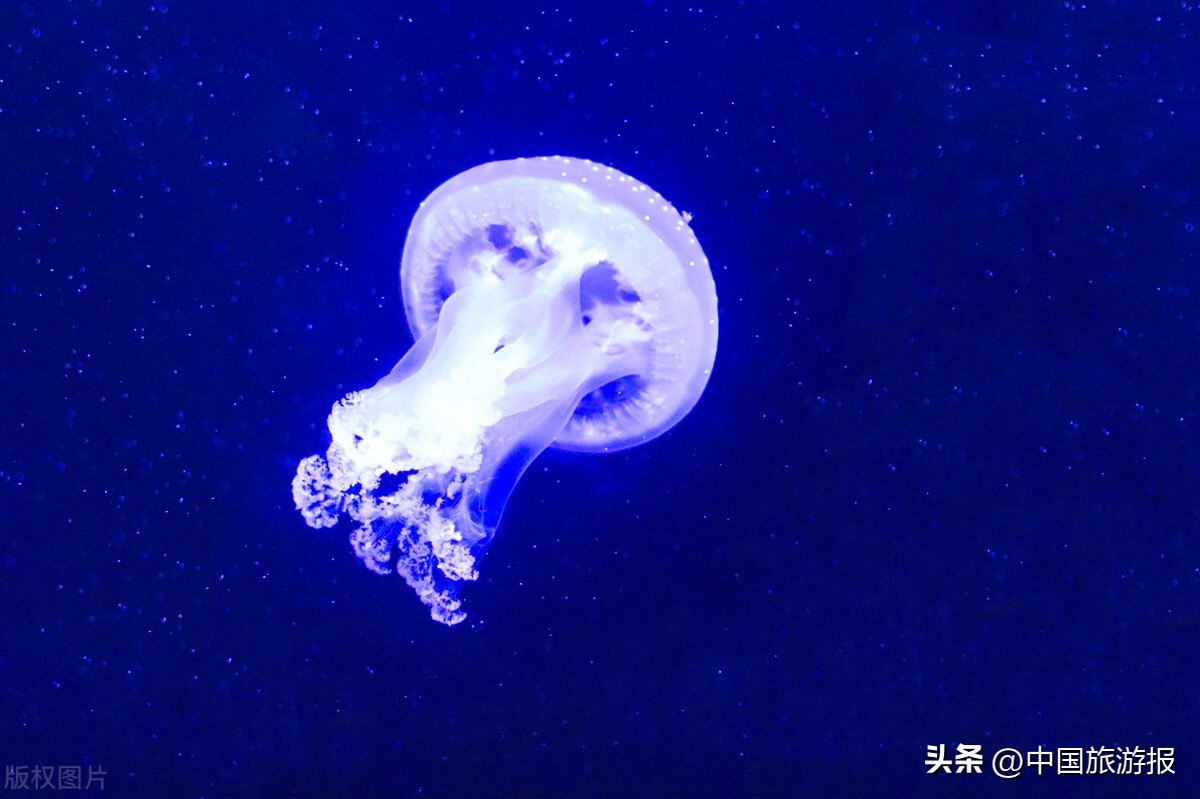 青岛带孩子值得一去的地方,威海和青岛哪个更值得去