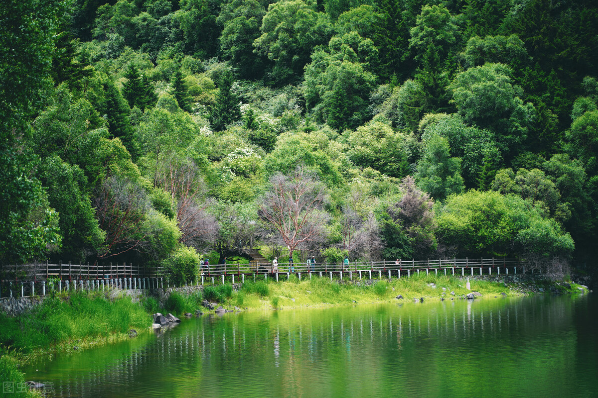 青海游玩必打卡,青海省必打卡景点