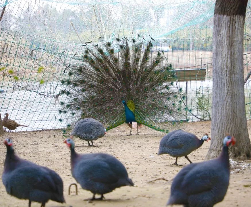 全国生态环境日主题,全国生态日绿水青山就是金山银山