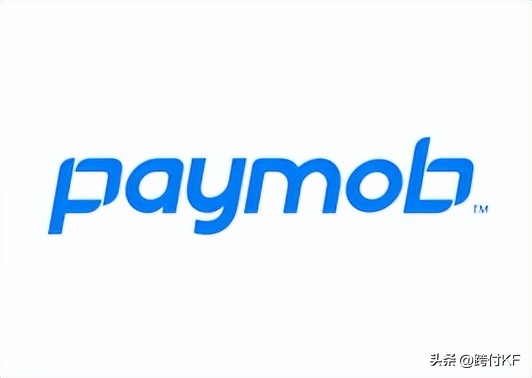 埃及支付方式,埃及支付渠道有哪些