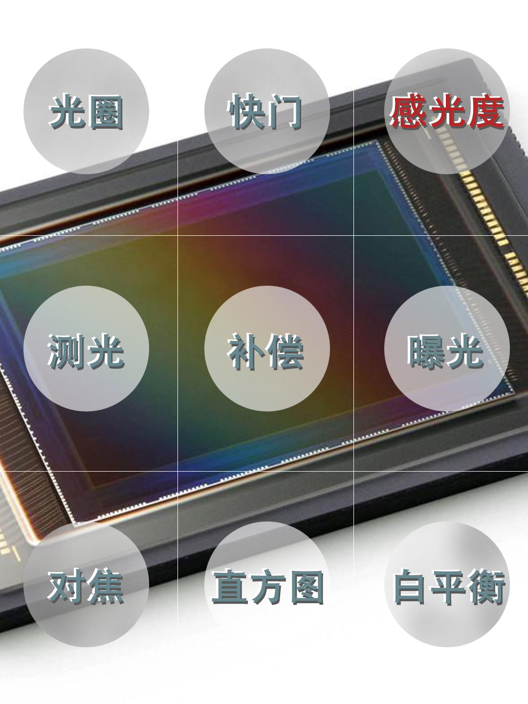 摄影入门9大必学基础之感光篇,摄影中如何选择和设定感光度