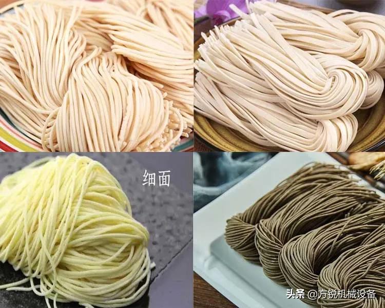 开个面条加工厂,西安鲜面条批发