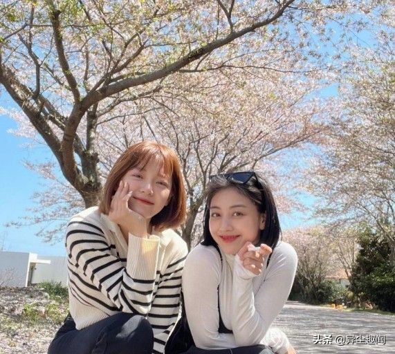 爱豆令人羡慕的异性友谊,女爱豆们的那些神仙友情