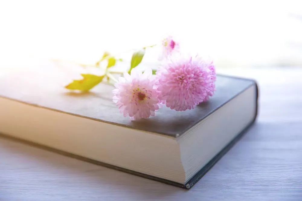 如何提速自媒体运营,如何通过写作快速变现