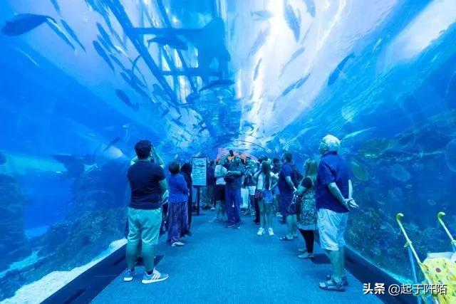 过去的迪拜和现在的迪拜对比,真实的迪拜没你想象中那么好