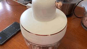 几十元到两百元的绞肉机差在哪,实惠好用绞肉机推荐哪个牌子