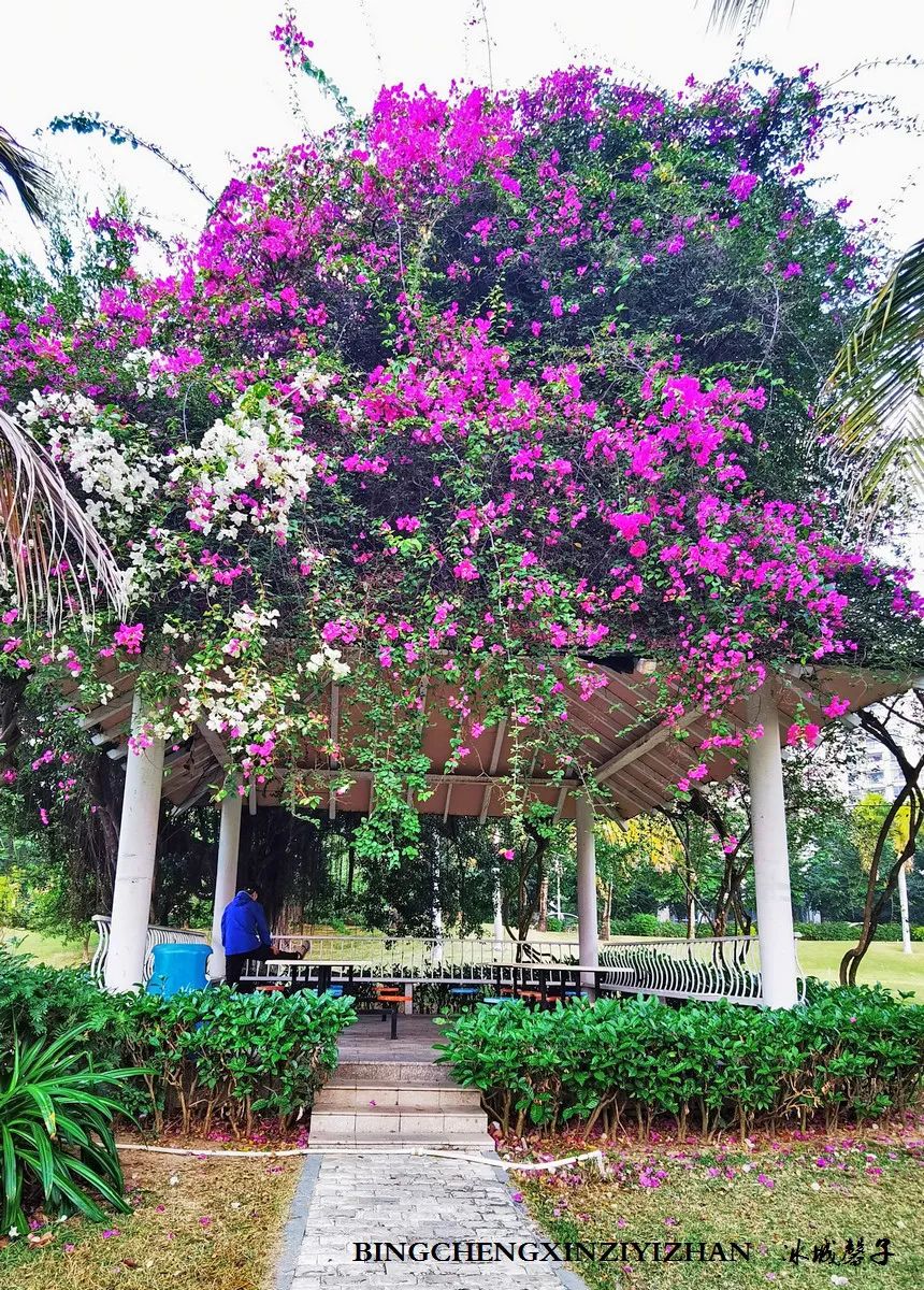 旅居海南,旅居式旅游生活海南