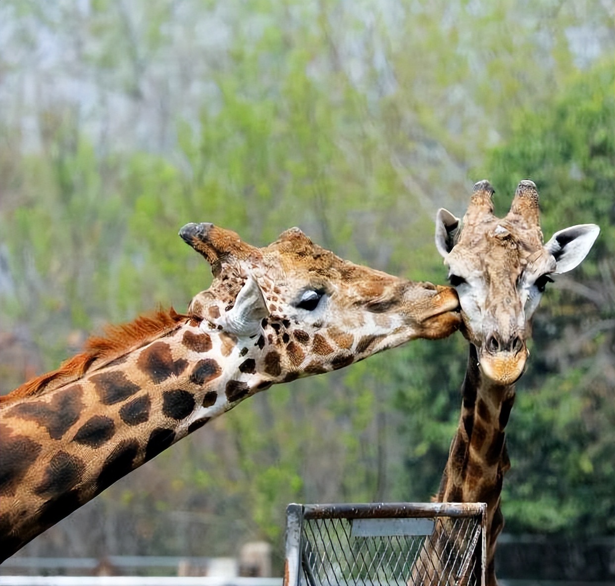 西安旅游学生攻略,西安旅游攻略详细学生