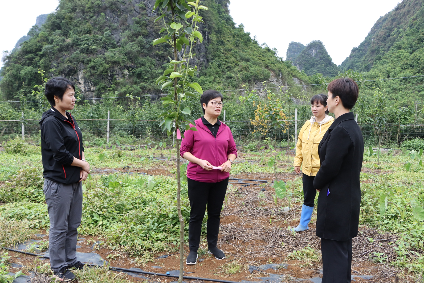 产业发展有思路群众致富有门路,产业强百姓富生态美