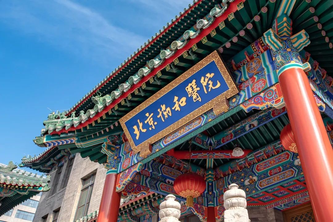 2022年cns期刊高校排名,cns中国高校2024