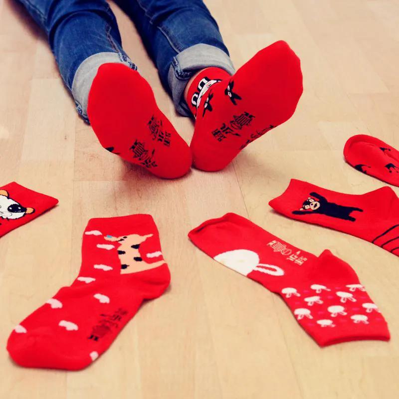 属虎的本命年注意事项,本命年搬家注意事项