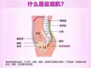 新美妈盆底肌修复,新美妈修复盆底肌