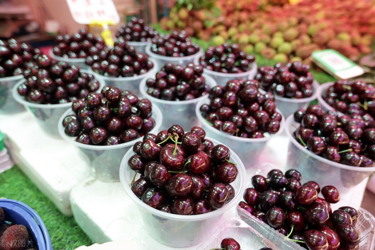智利车厘子所有水果出口,现在水果进口哪些国家