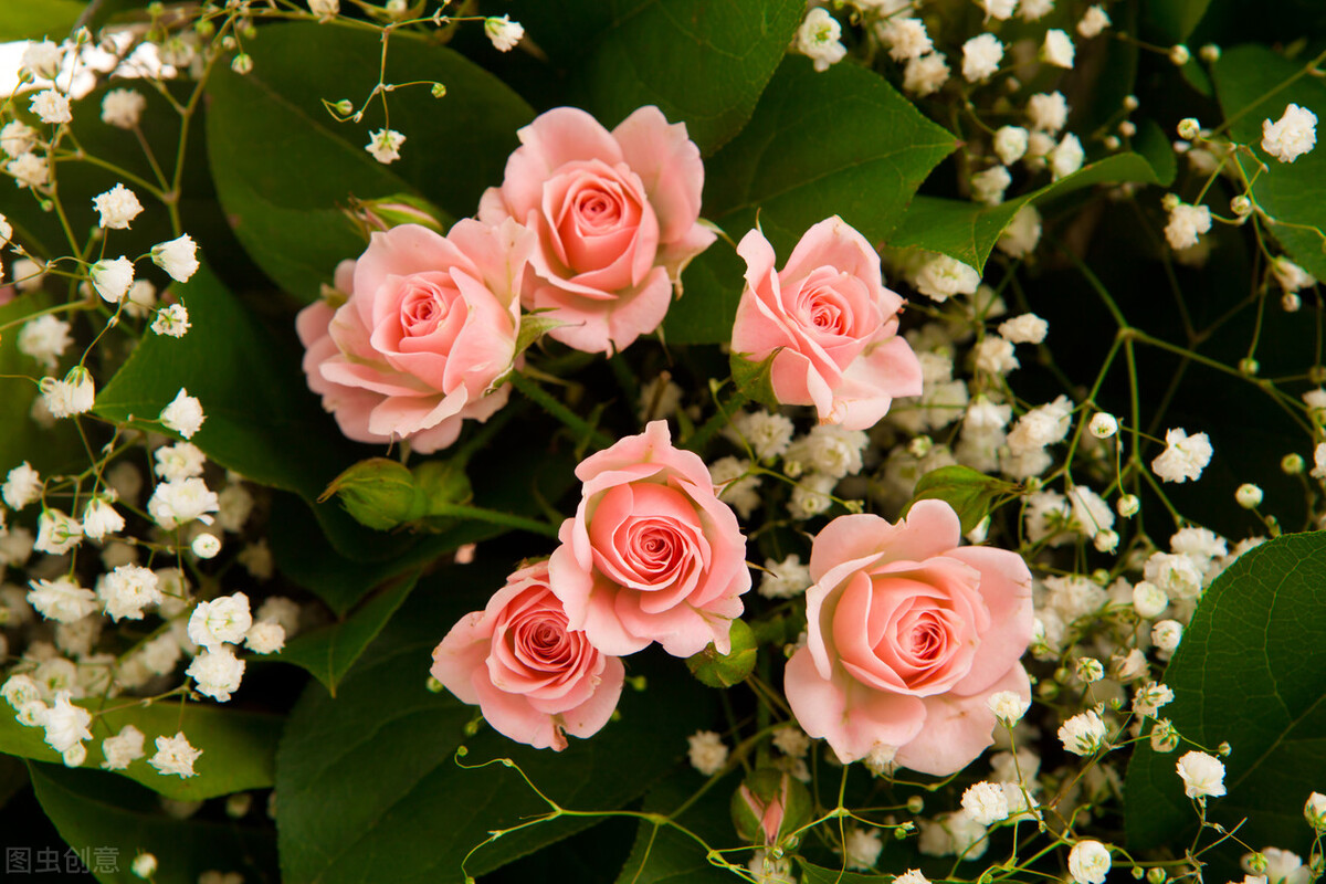 34岁男子相亲59次均失败,31岁男子相亲几十次均失败