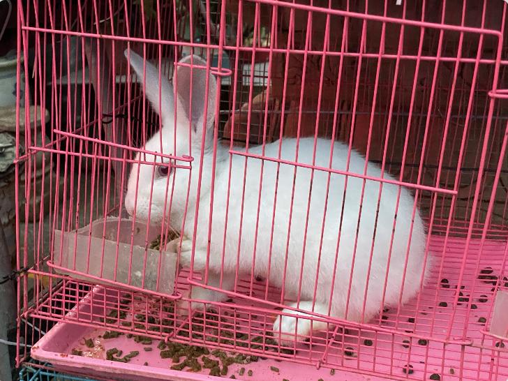 广州芳村花地古玩城,花地湾古玩城花市