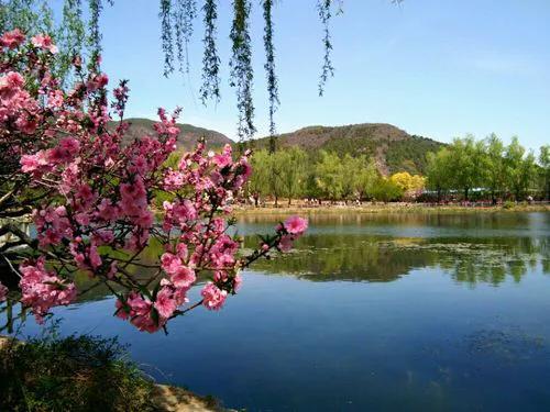 美好春景举家游,美好春日