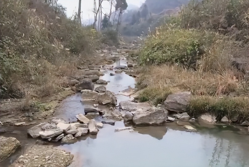 一斤鱼卖多少,一斤鱼30元买了40斤是多少钱