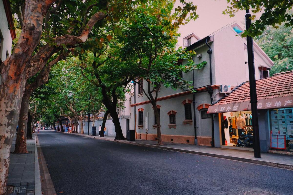 游记上海这个快节奏的城市,上海游记