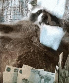 2022年股票搞笑总结,2021年上半年a股涨幅排行榜