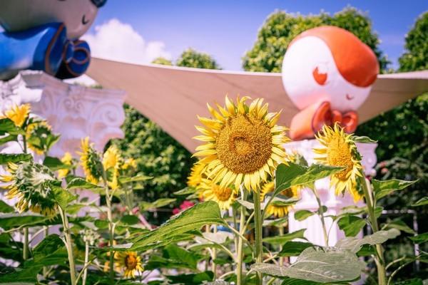 湾区光影魅力,南沙湾区超美风景线