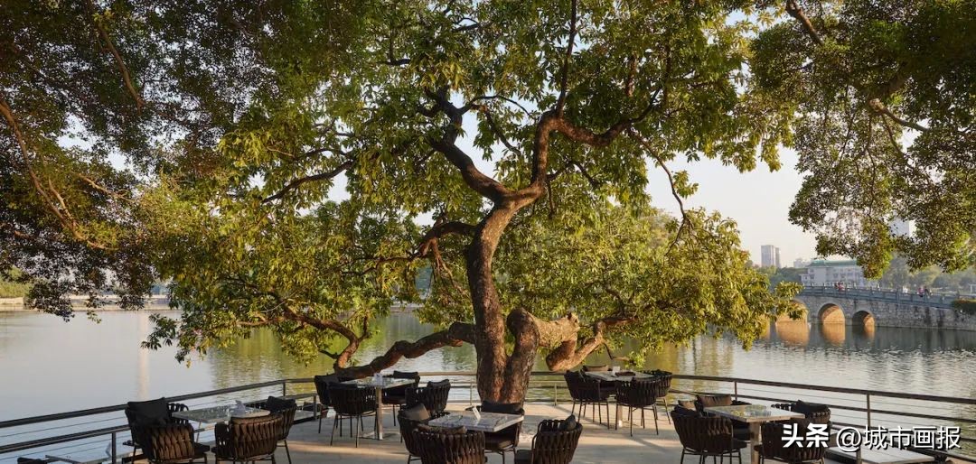 新年第一天，我去打卡一间森林里的美术馆