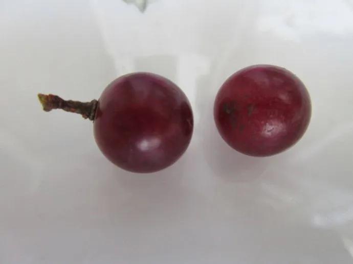 怎样进行乳房自我检查,乳房的自我检查方式