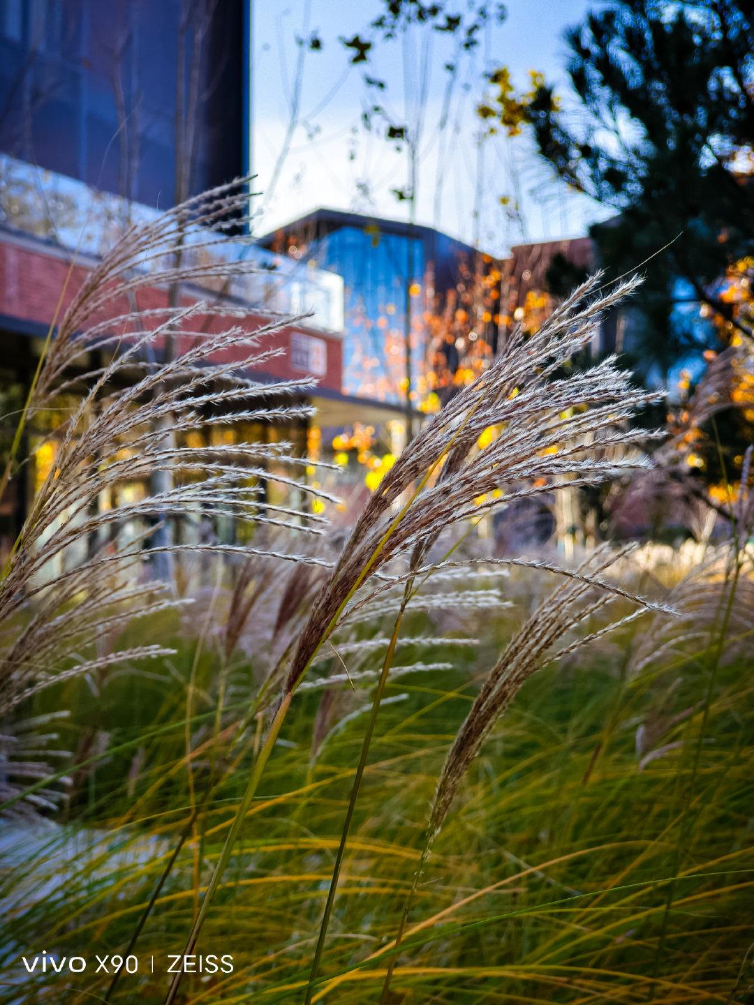 vivox90有没有白色版,vivox90白色版好看吗