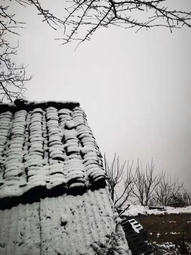 湖北多地降雪量已超10毫米,湖北多地积雪深度超10cm