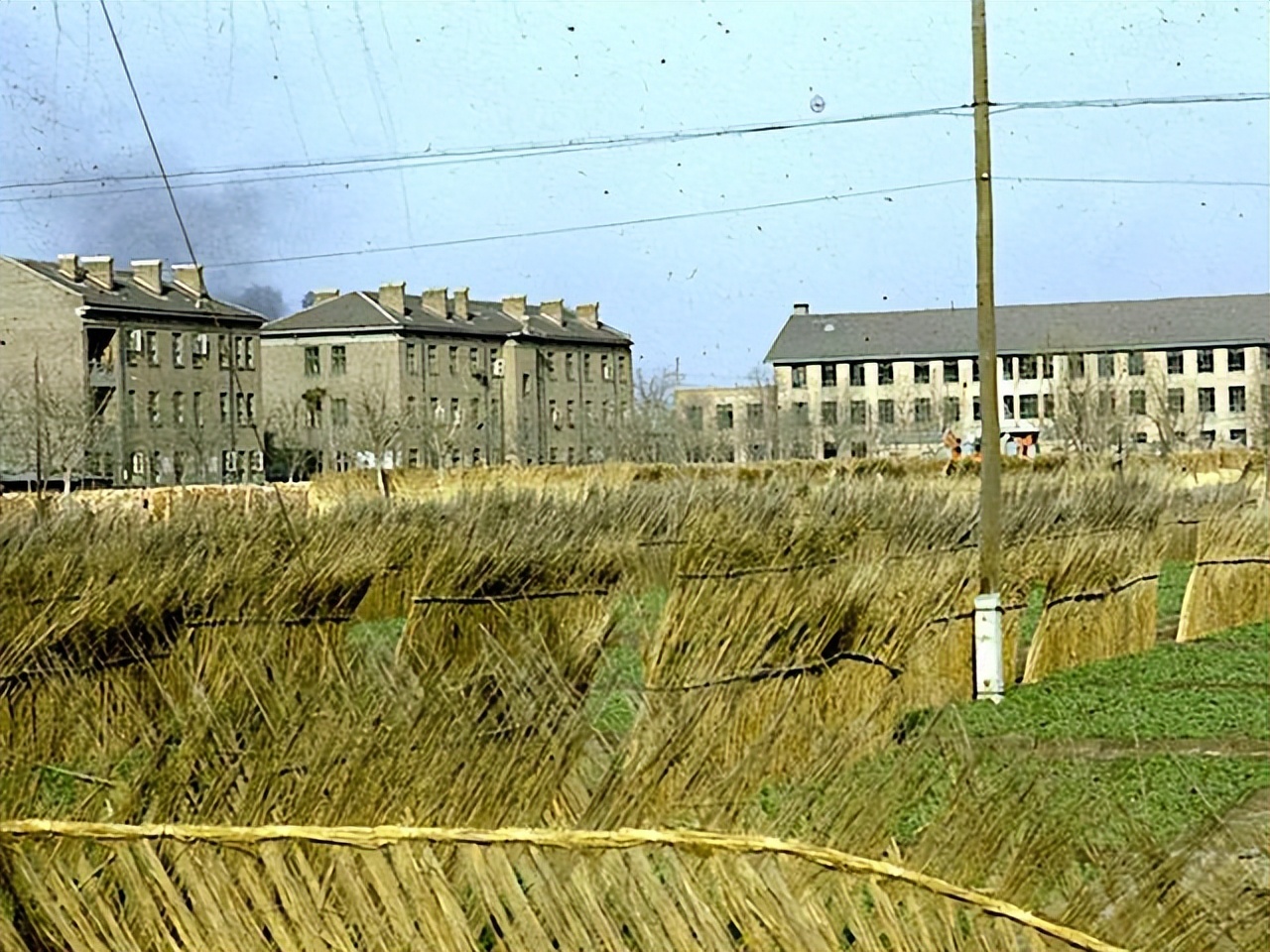 天津海滨区老照片,天津旧景照片