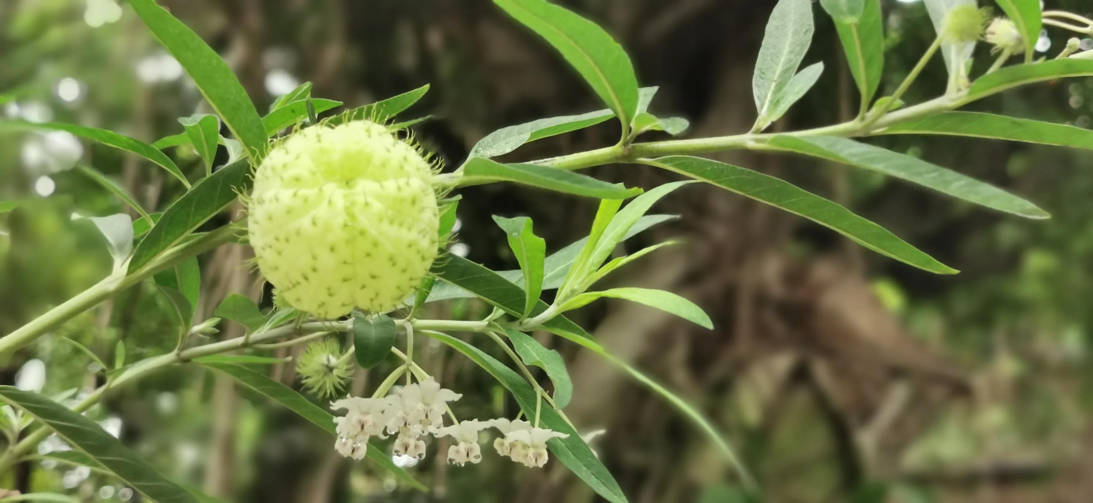 一人一车自驾游装备,两辆车自驾游需要带什么装备