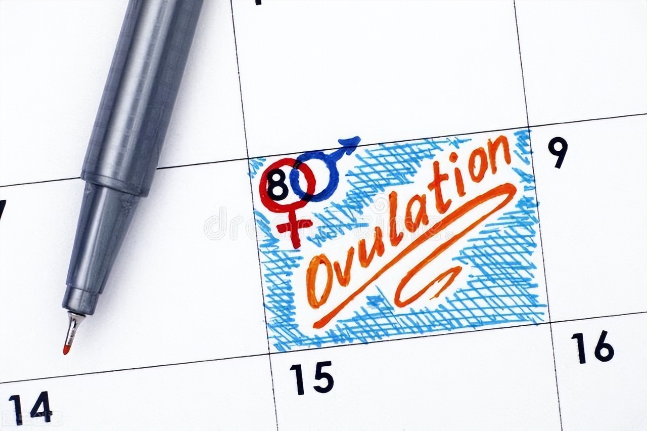 备孕快速怀孕吃什么最营养呢,重度少弱精怎么备孕才能快速怀孕