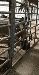 跟女网友奔现后感觉被骗了,被女网友骗了钱怎么办