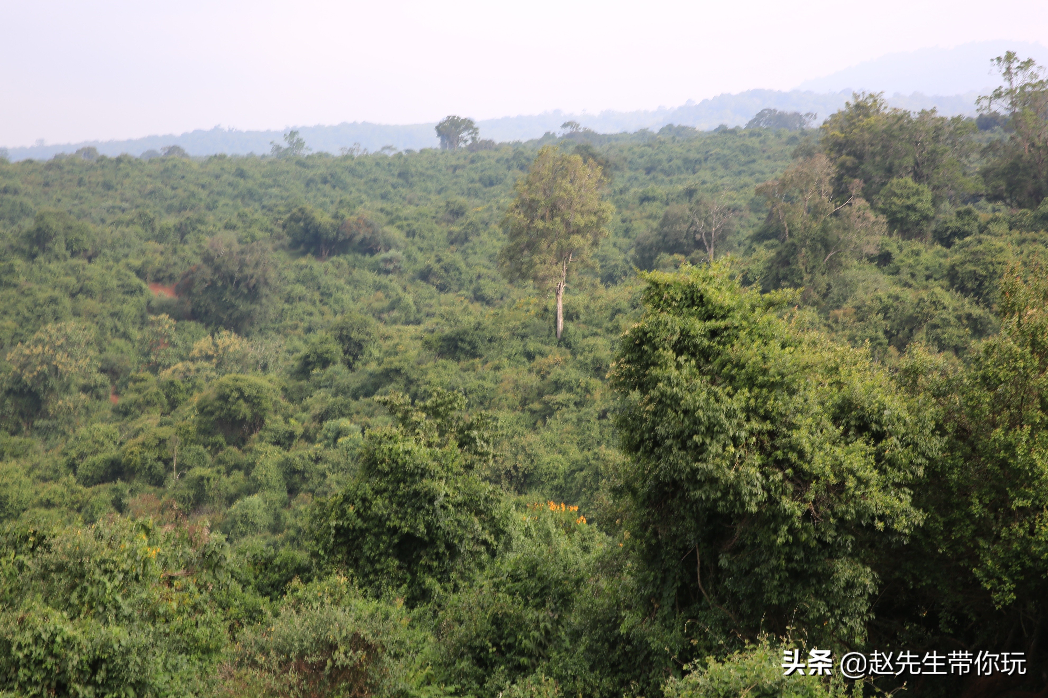 二十年游历分享之202:非洲19:肯尼亚18尼耶利的方舟酒店