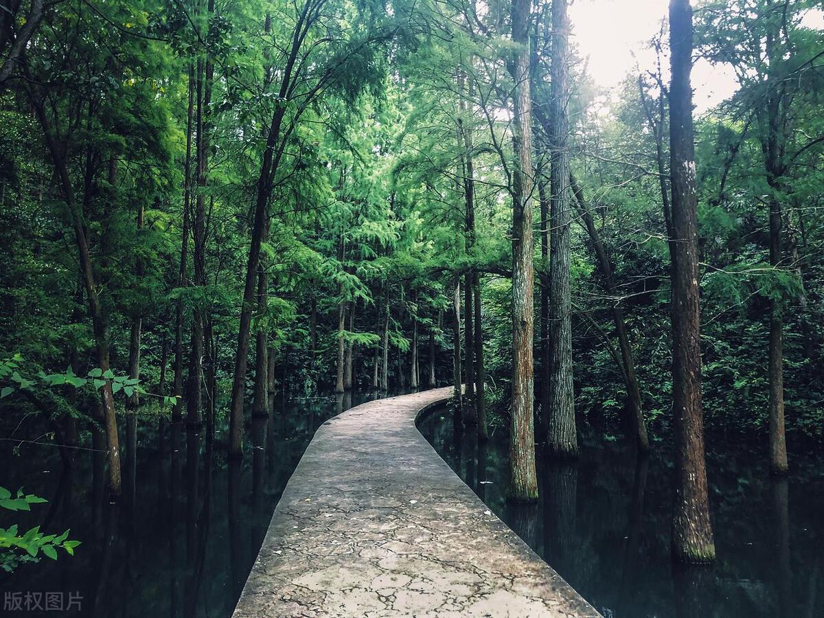 长沙哪个公园风景最美,长沙最值得去的公园是哪里