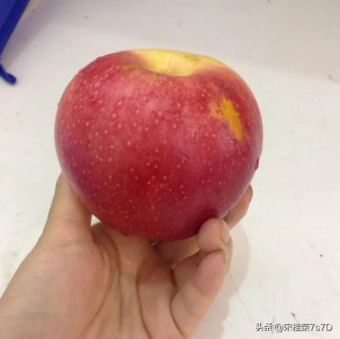 坐月子后怎么补充蛋白质,坐月子为啥多吃富含蛋白质维生素