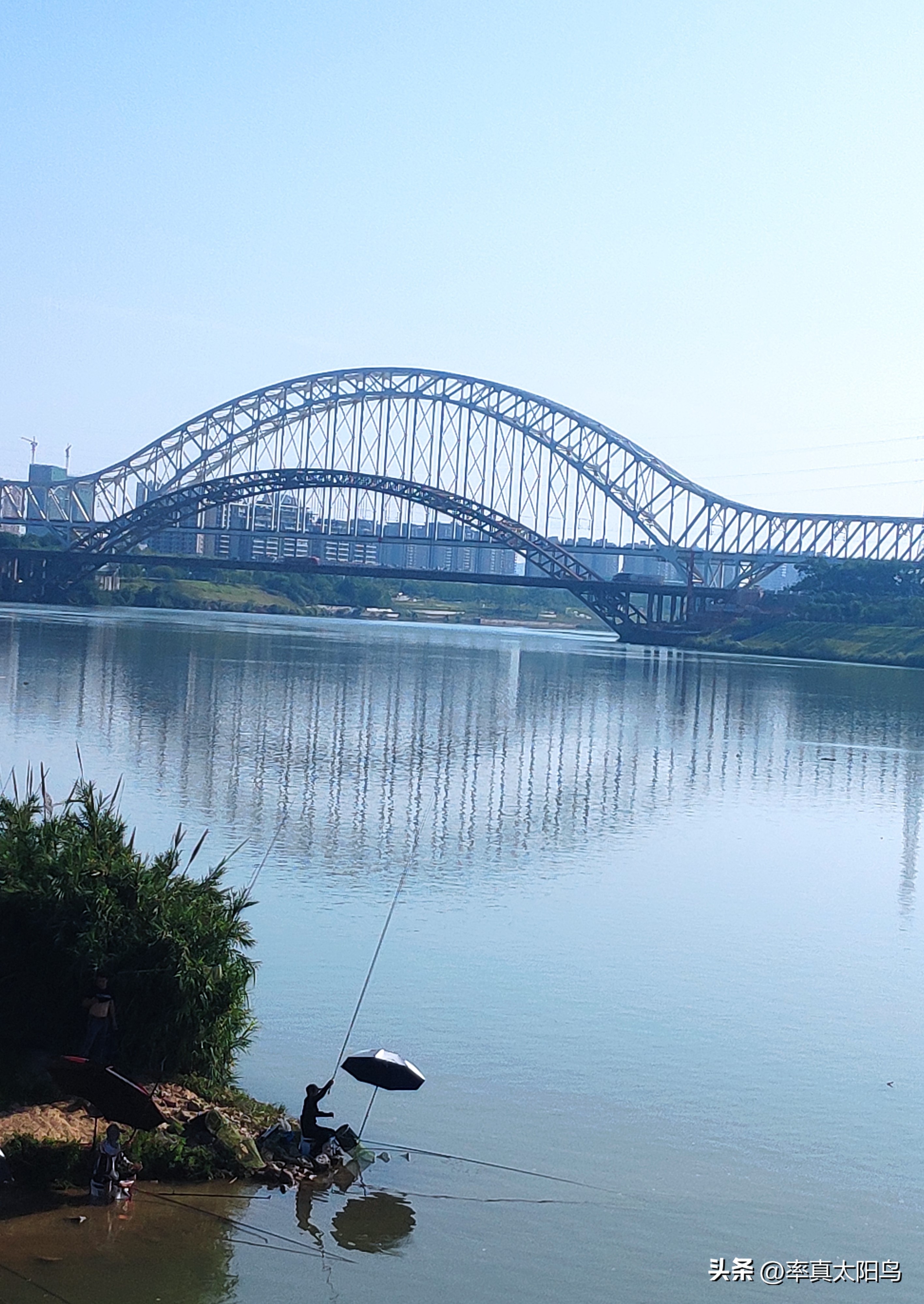 秋水之韵文章,秋水之韵抖音