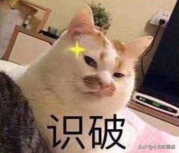 谨慎避雷:啤酒出现3个字眼都是“啤水”,附4款优质国产啤酒推荐