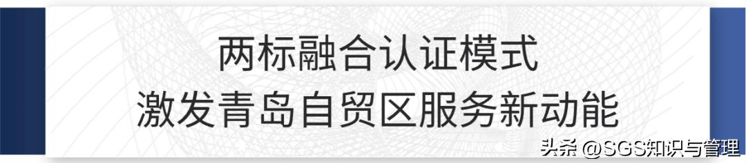 质量管理体系和国际服务认证两标融合激发青岛自贸区服务新动能