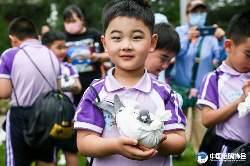 宋庆龄故居内和平鸽舍,建党100周年庆祝大会放飞和平鸽