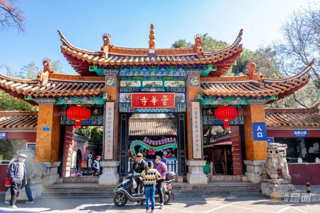 3月昆明踏青好去处,昆明周边游玩春天看花好去处