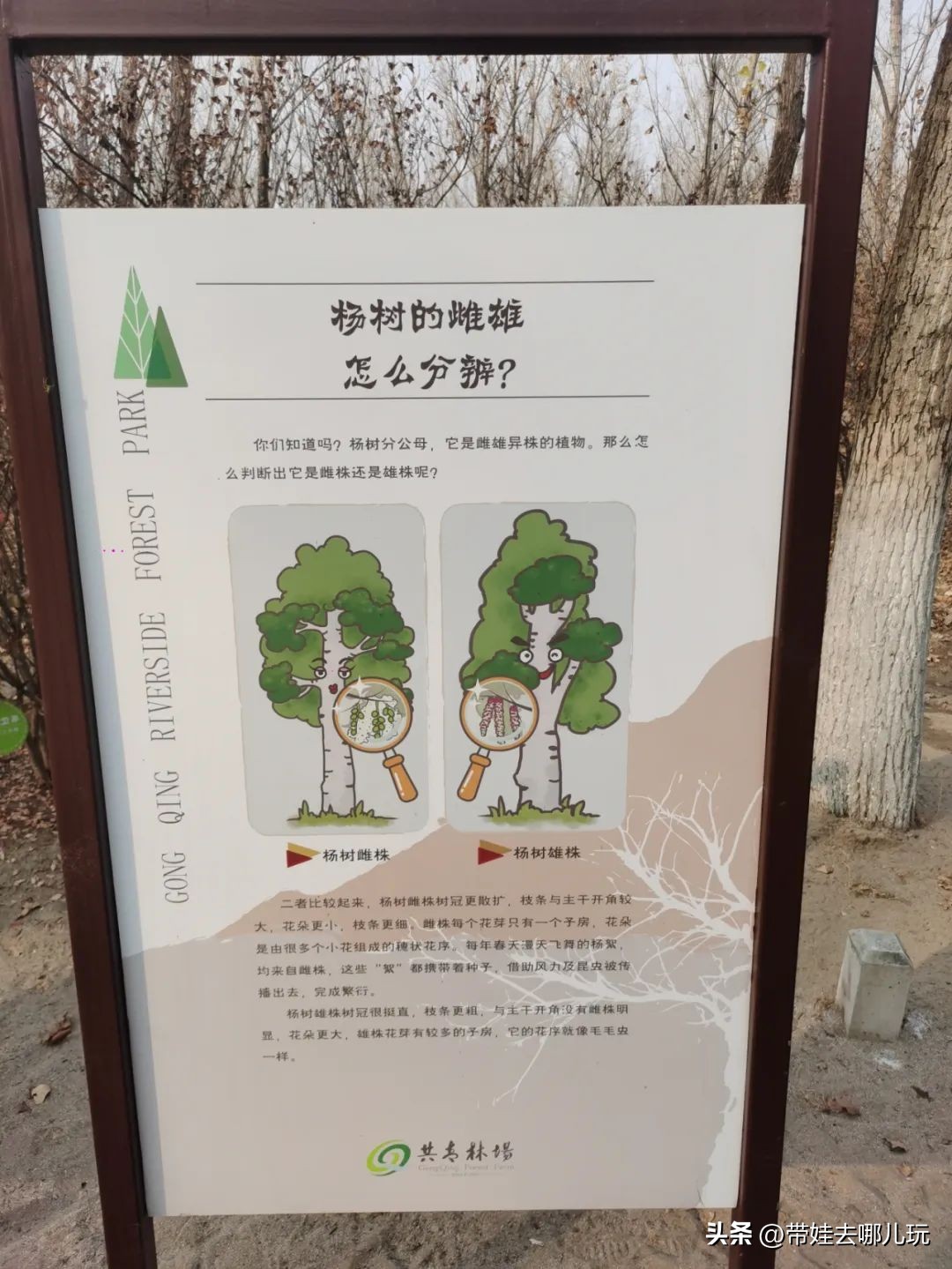 在森林公园里玩耍,中国可以骑行的森林公园