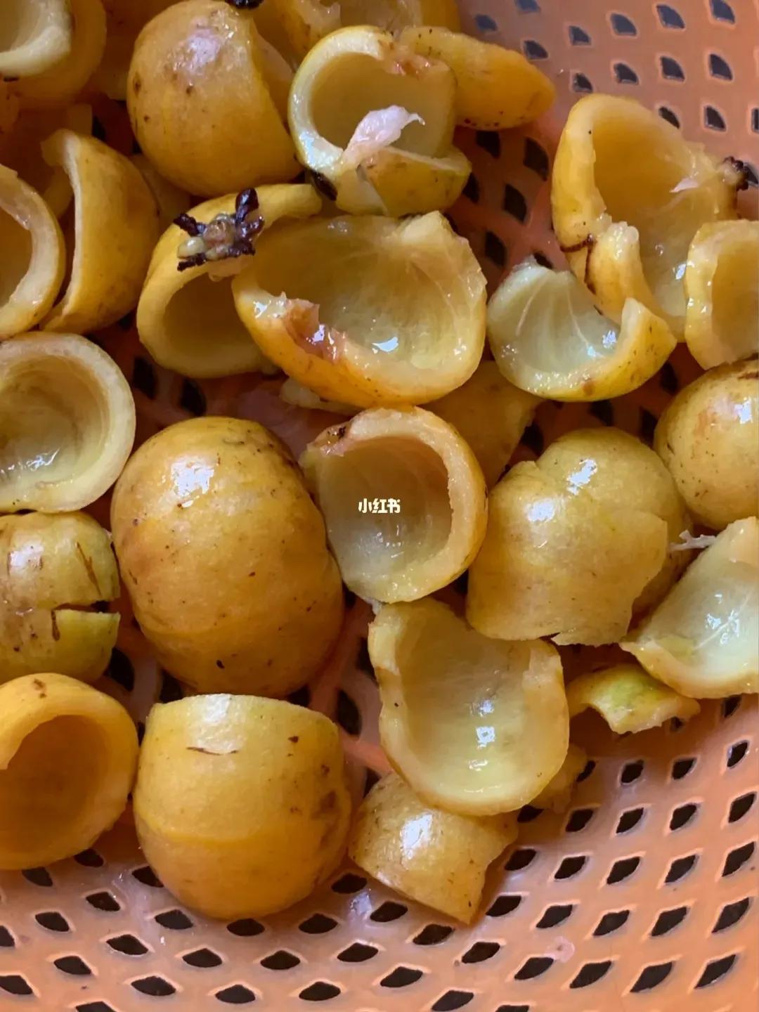 儿时野山竹,小时候的野山竹